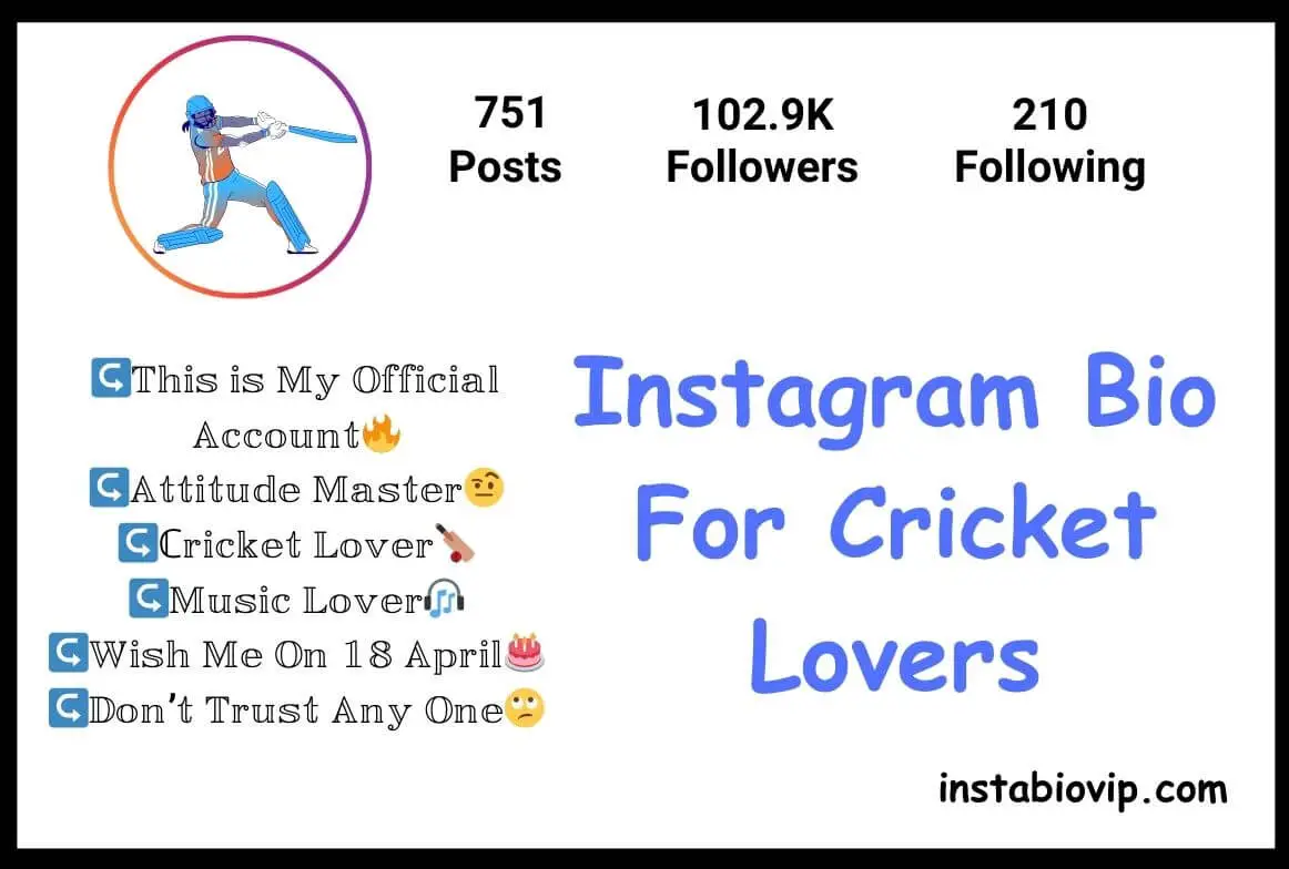 Instagram Bio For Cricket Lovers