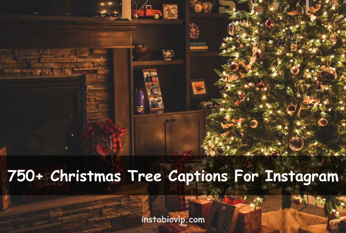 Christmas Tree Captions For Instagram