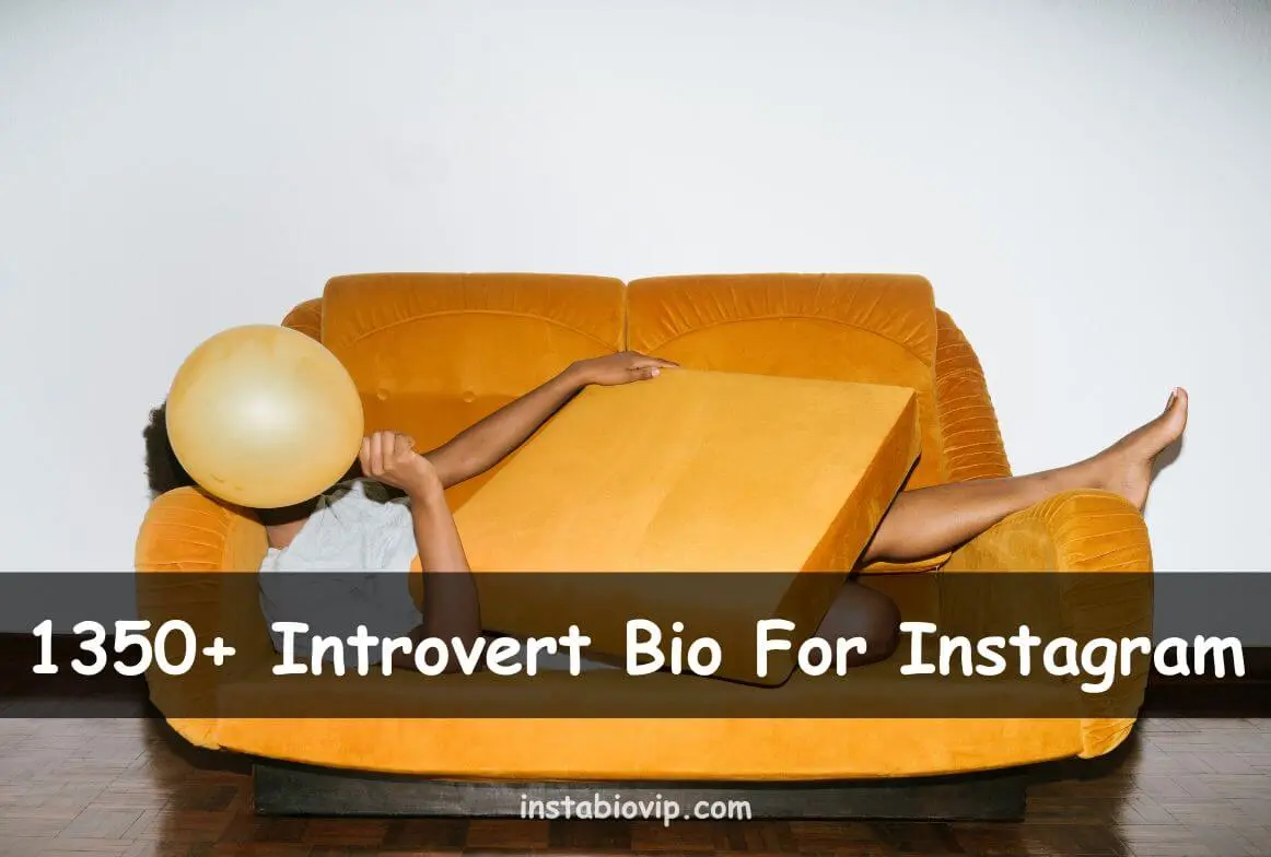 Introvert Bio For Instagram