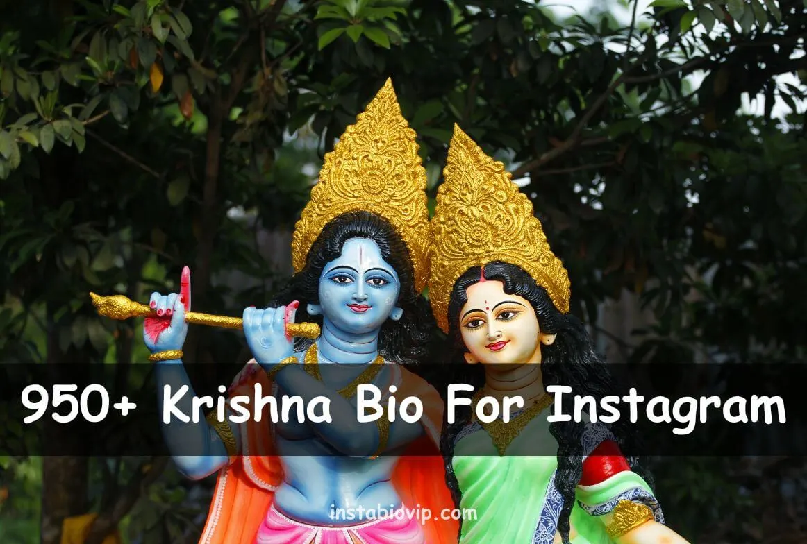 Krishna Bio For Instagram