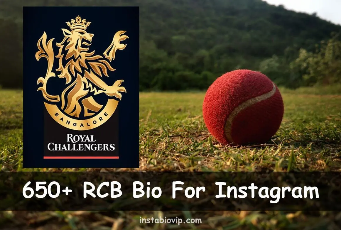 RCB Bio For Instagram