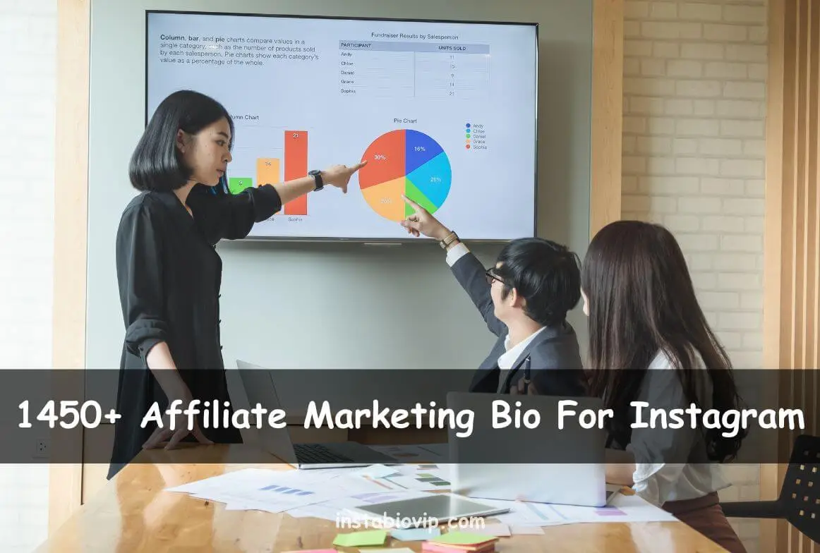 Affiliate Marketing Bio For Instagram