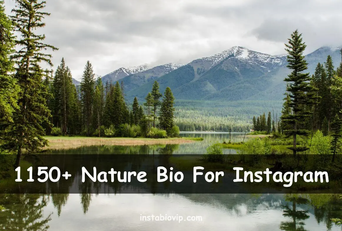 Nature Bio For Instagram