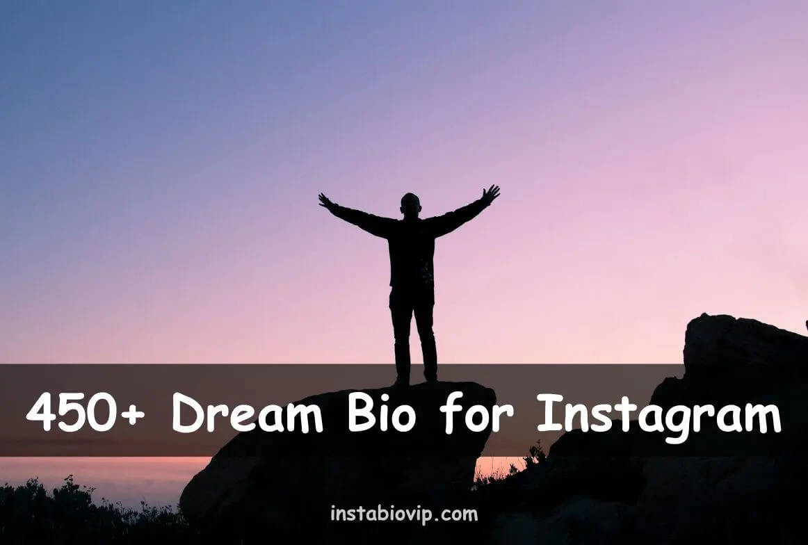 Dream bio for Instagram