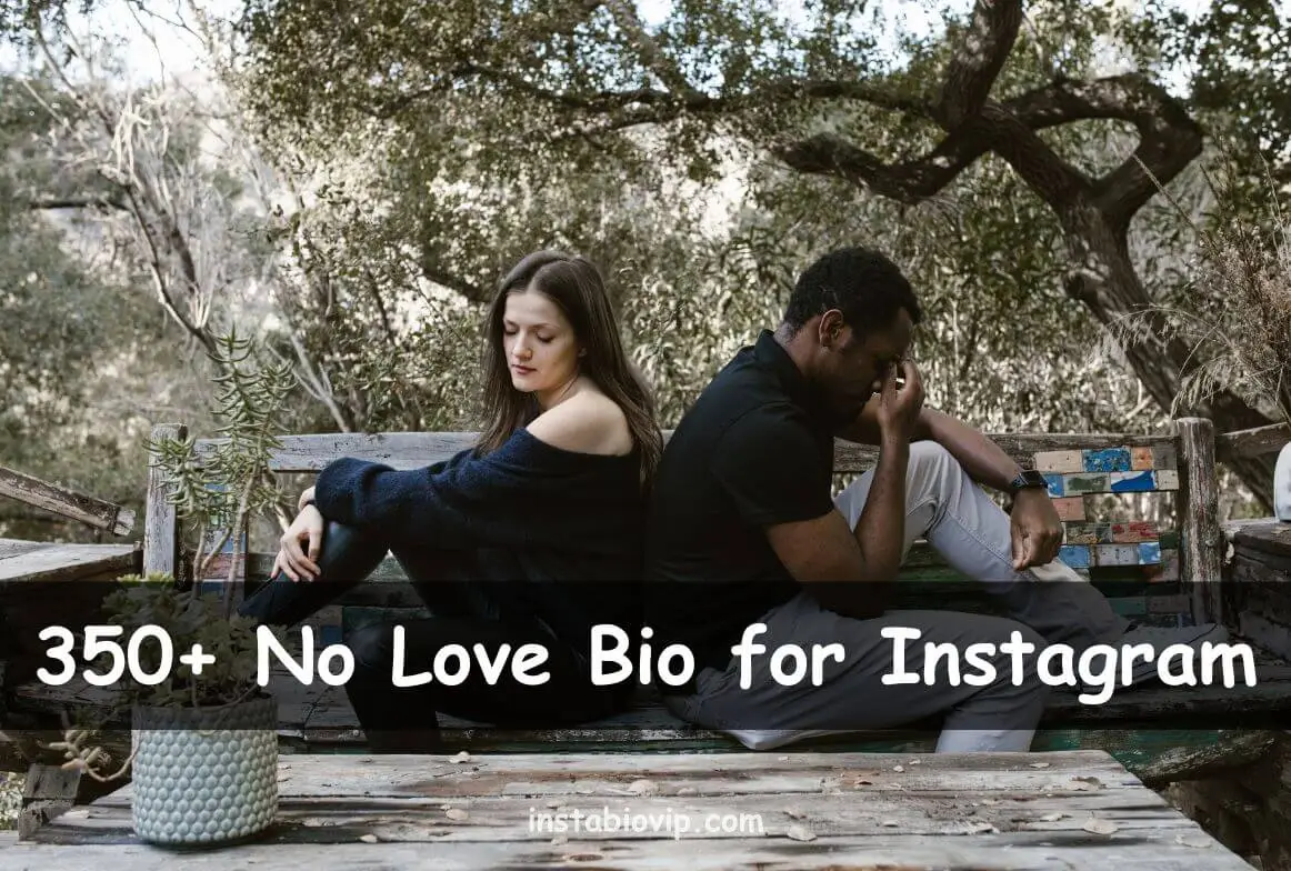 No Love Bio for Instagram
